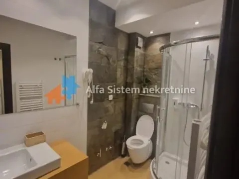 Izdavanje, dvosoban stan, 55m², Savski Venac, Beograd - image 7