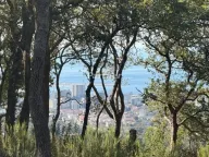 Sale, house, 174m², Župci, Bar - image 4