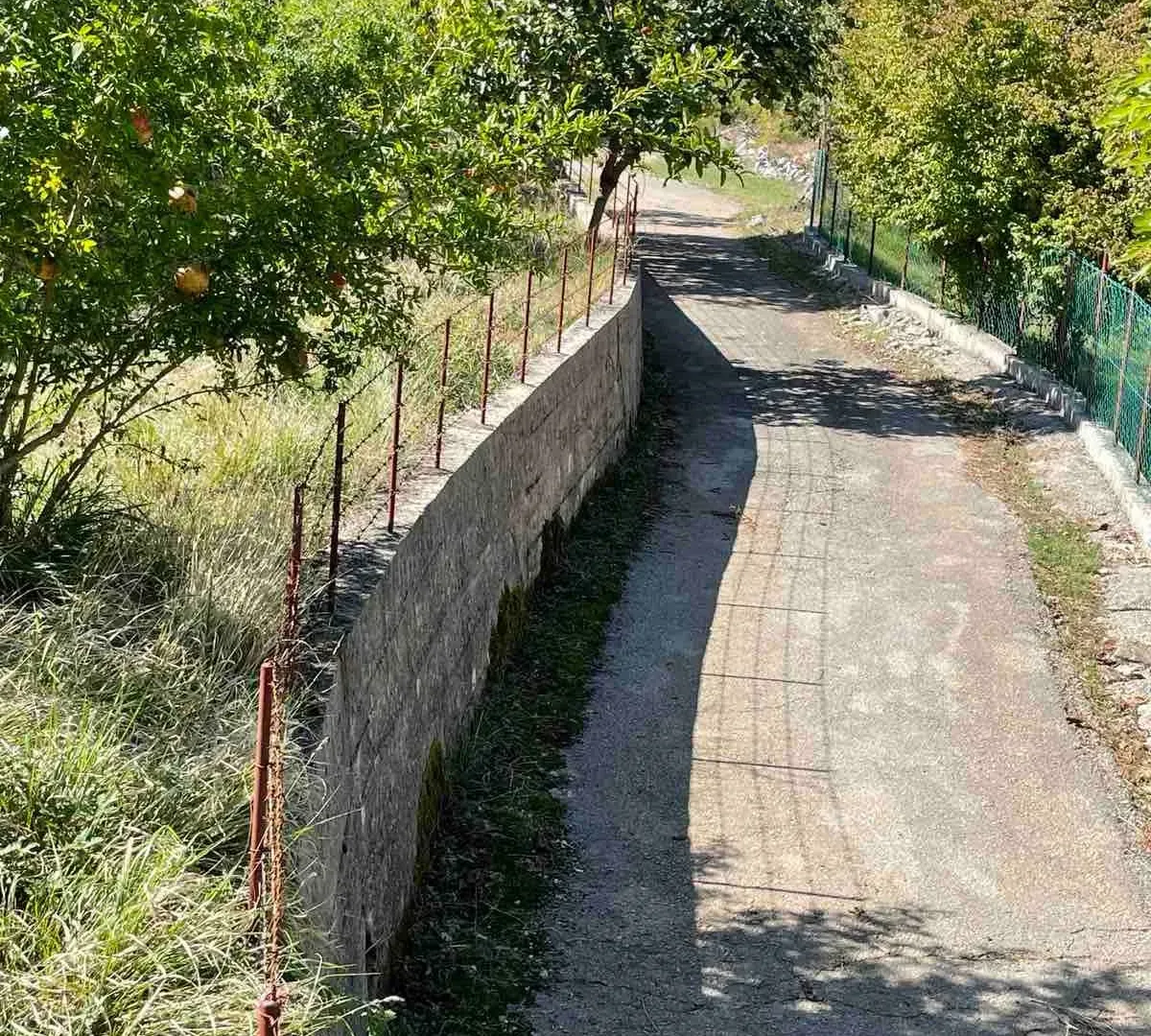 Prodaja, plac, 50000m², Bar, Crna Gora