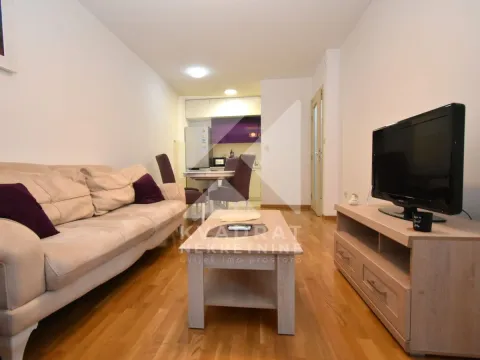 Rent, one bedroom apartment, 45m², Zagorič, Podgorica - image 3