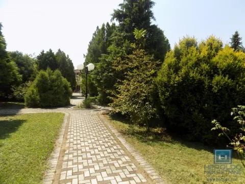 Izdavanje, poslovni prostor, 270m², 7. juli, Paraćin - image 14