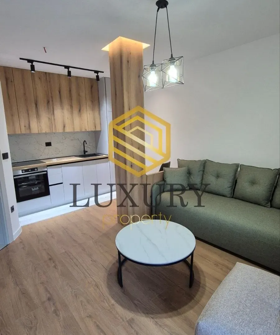 Rent, one bedroom apartment, 40m², Gornja Gorica, Podgorica