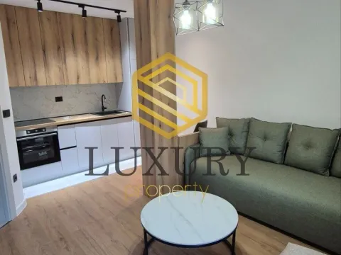 Rent, one bedroom apartment, 40m², Gornja Gorica, Podgorica - image 2