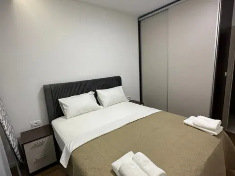 Prodaja, jednosoban stan, 45m², Pobrežje, Podgorica - image 4