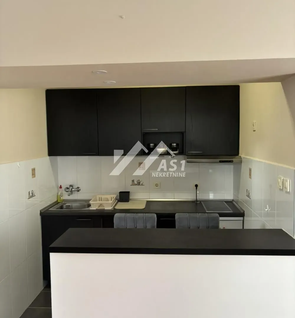 Izdavanje, dvosoban stan, 45m², Bulevar Oslobodjenja, Novi Sad Sve Podlokacije
