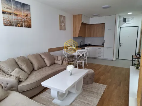 Izdavanje, jednosoban stan, 48m², Stari Aerodrom, Podgorica - image 11