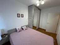 Izdavanje, dvosoban stan, 42m², Nova Detelinara, Novi Sad Sve Podlokacije - image 11