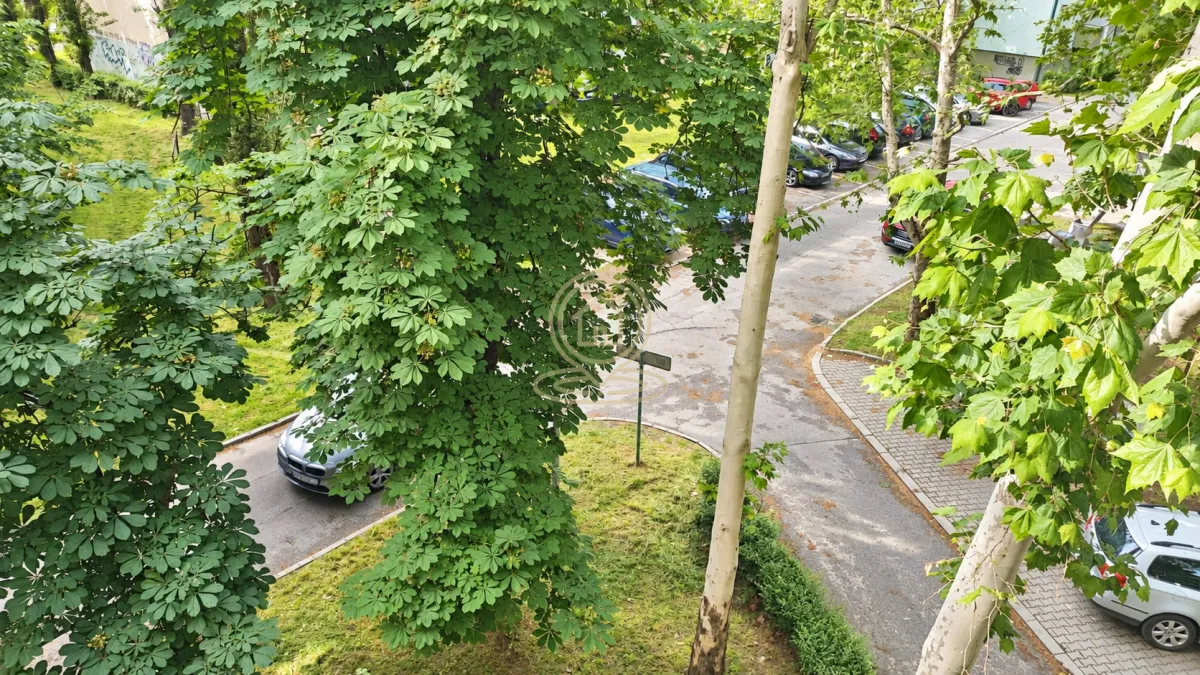 Pogled sa prozora na zelene površine i parking.
