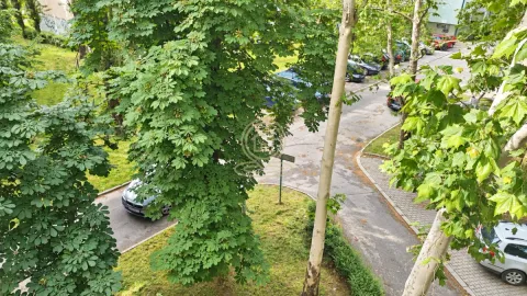 Pogled sa prozora na zelene površine i parking. - image 10