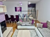 Izdavanje, jednosoban stan, 47m², Zabjelo, Podgorica - image 3