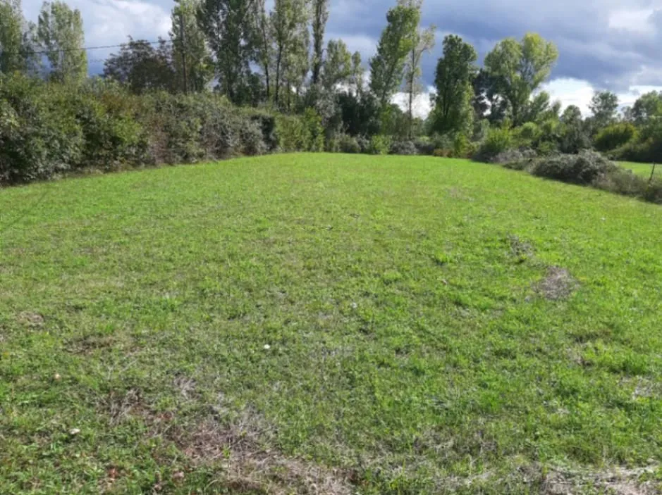 Prodaja, plac, 1818m², Ćurilac, Danilovgrad