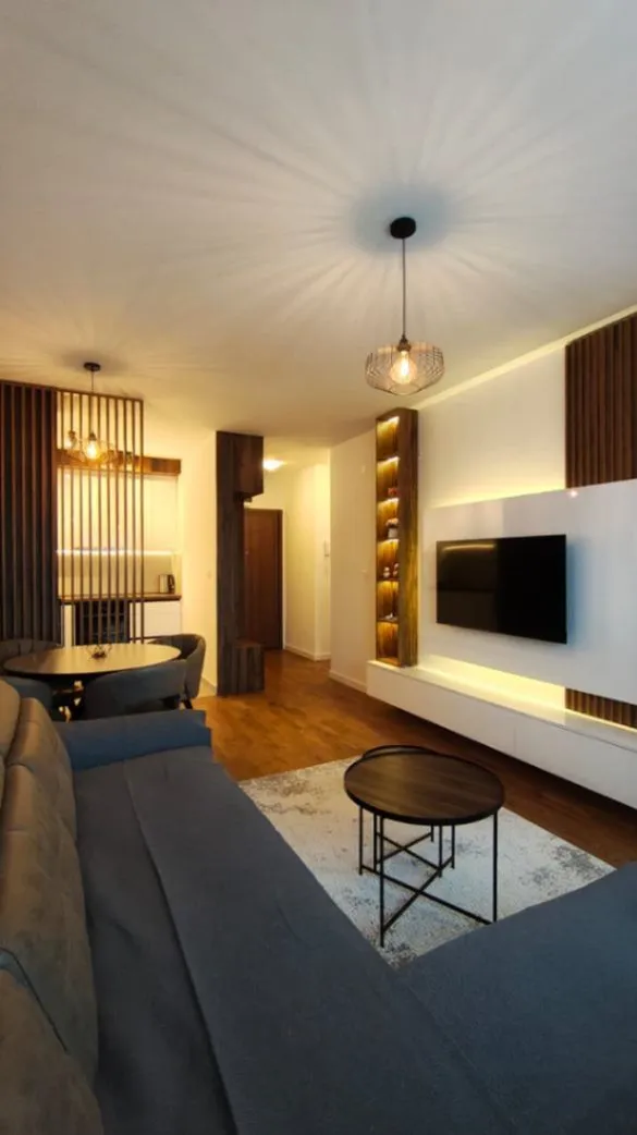 Izdavanje, jednosoban stan, 45m², Stari Aerodrom, Podgorica