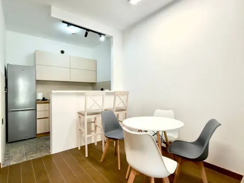 Izdavanje, jednosoban stan, 47m², Ljubović, Podgorica - image 1