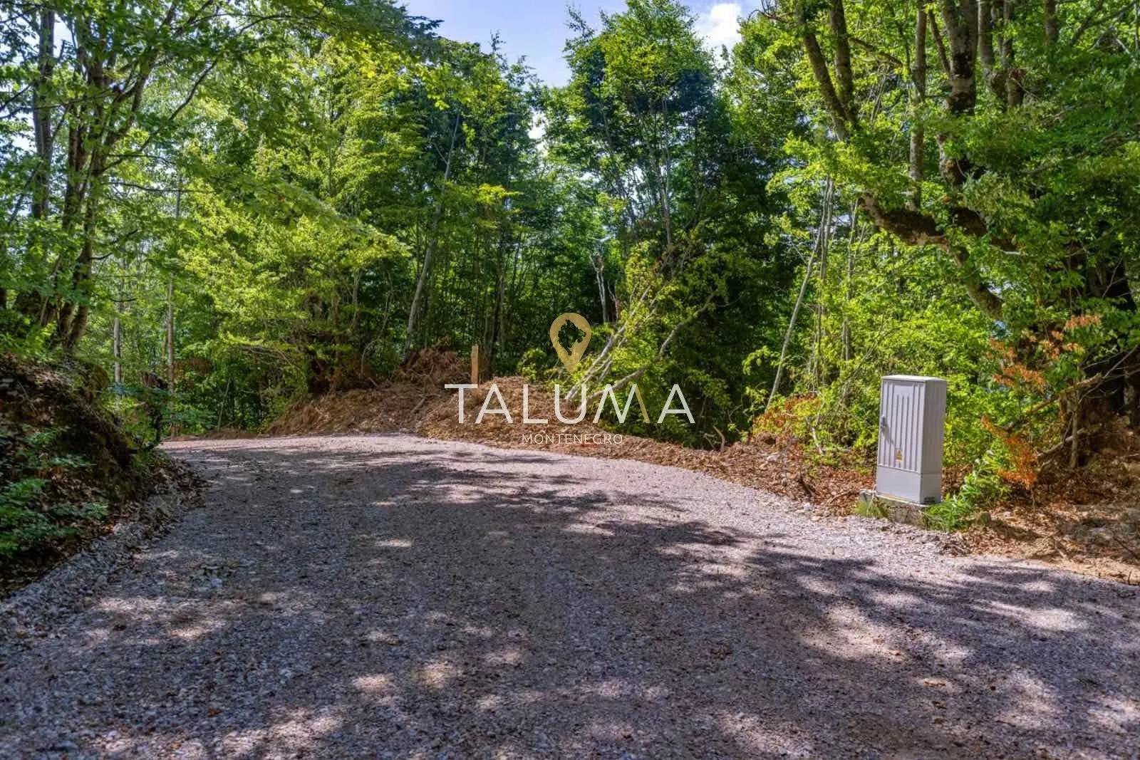 Prodaja, plac, 43527m², Kolašin, Crna Gora