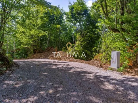 Prodaja, plac, 43527m², Kolašin, Crna Gora - image 3