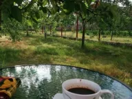 Prodaja, kuća, 154m², Straševina, Nikšić - image 11