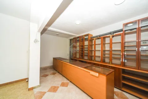 Rent, office space, 300m², Zabjelo, Podgorica - image 7