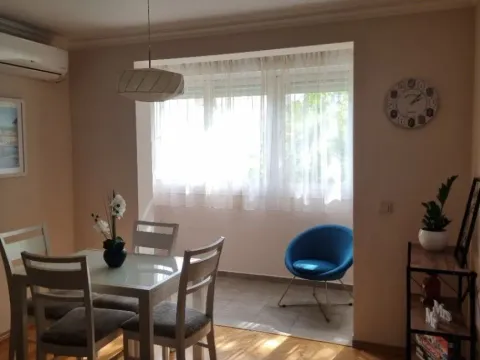 Izdavanje, jednosoban stan, 40m², Autobuska stanica, Podgorica - image 4