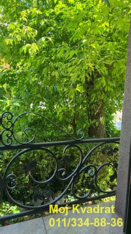 Pogled sa terase na zelene krošnje drveća i dvorište.