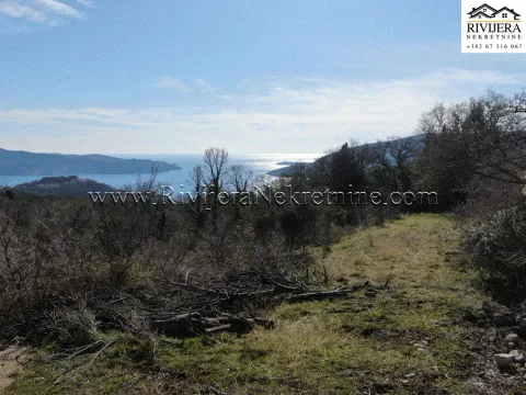 Sale, land lot, 2958m², Trebesinj, Herceg Novi - image 7