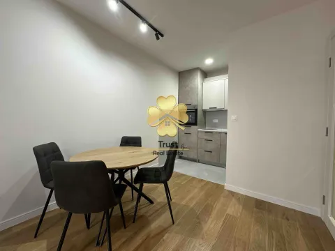 Izdavanje, jednosoban stan, 50m², Central Point, Podgorica - image 5