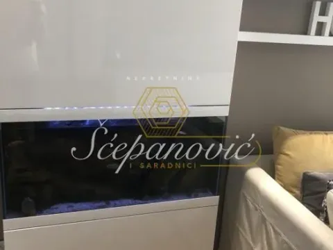 Izdavanje, dvosoban stan, 54m², Centar, Novi Sad - image 4