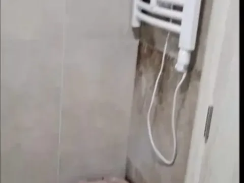 Izdavanje, garsonjera, 32m², Blok 9, Podgorica - image 13