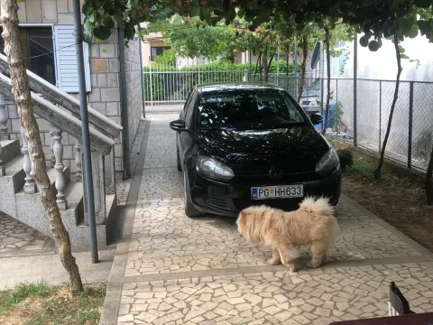 Prodaja, kuća, 250m², Kolašin, Crna Gora - image 6