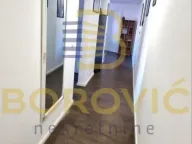 Izdavanje, četvorosoban stan, 87m², Vračar Sve Podlokacije, Beograd - image 3
