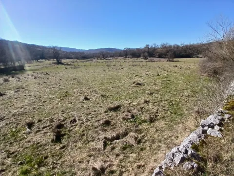 Prodaja, plac, 6256m², Čevo, Cetinje - image 6