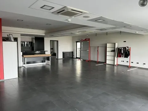 Izdavanje, poslovni prostor, 300m², Zemun Sve Podlokacije, Beograd