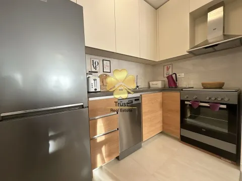 Izdavanje, jednosoban stan, 50m², Central Point, Podgorica - image 10