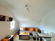 Prodaja, stan, 25m², Borča 1, Borča Sve Podlokacije - image 6