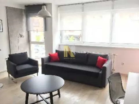 Izdavanje, dvosoban stan, 45m², Centar, Novi Sad