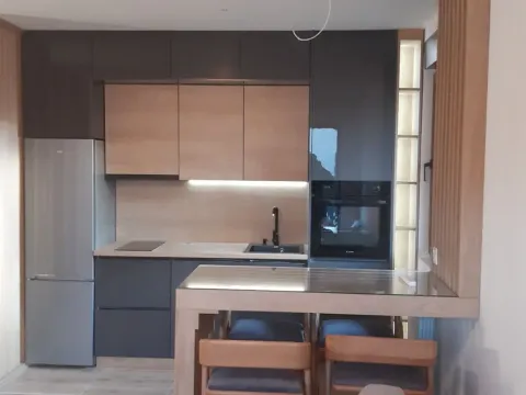 Prodaja, dvosoban stan, 45m², Obudojevica, Zlatibor - image 6