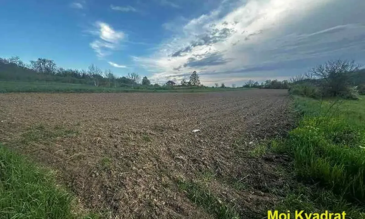 Sale, land lot, 14016m², Vrčin, Grocka