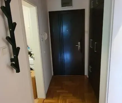 Izdavanje, jednosoban stan, 47m², Nova Detelinara, Novi Sad Sve Podlokacije - image 12