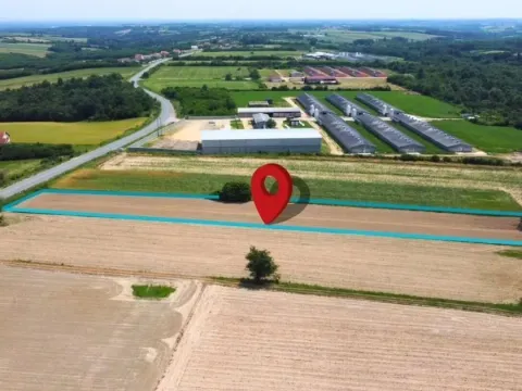 Prodaja, plac, 3942m², Zvezd, Vladimirci - image 7