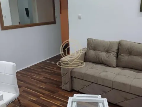 Izdavanje, dvosoban stan, 41m², Čubura, Beograd - image 4