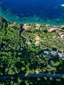 Pogled iz vazduha na priobalno područje sa šumom i kućama. - image 4