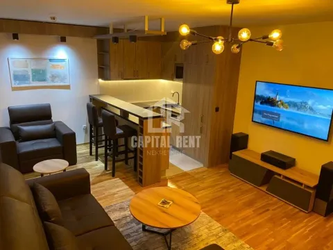 Rent, one bedroom apartment, 47m², Ledine, Beograd - image 7