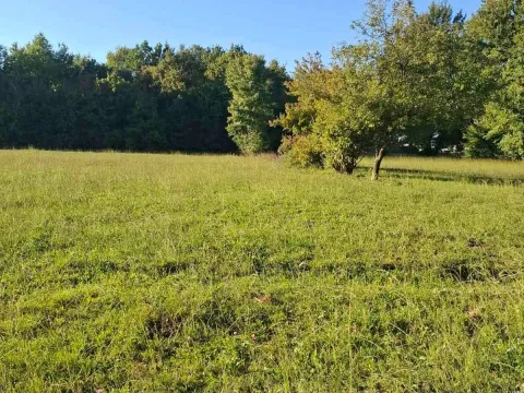 Prodaja, plac, 2881m², Begovina, Danilovgrad - image 4