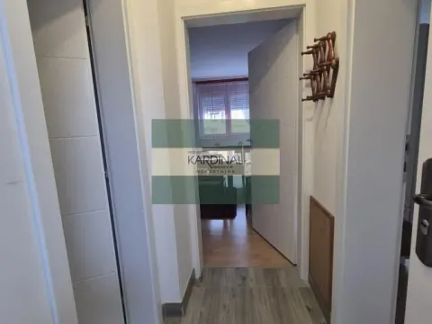 Izdavanje, jednosoban stan, 42m², Tabane, Jagodina - image 11