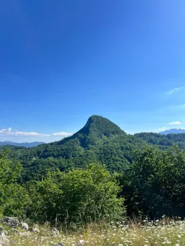 Prodaja, plac, 225105m², Raško, Kolašin - image 4