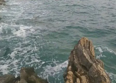 Prodaja, plac, 2000m², Bar, Crna Gora - image 6