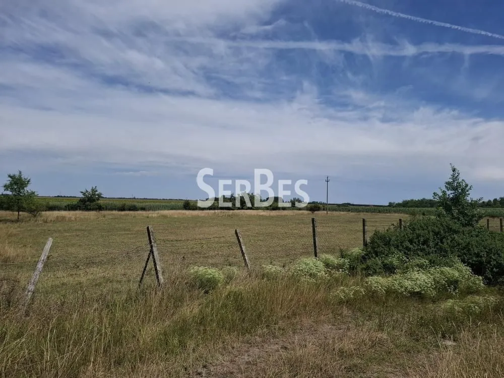 Prodaja, plac, 19197m², Čenej, Novi Sad Sve Podlokacije