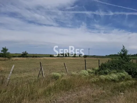 Prodaja, plac, 19197m², Čenej, Novi Sad Sve Podlokacije - image 2