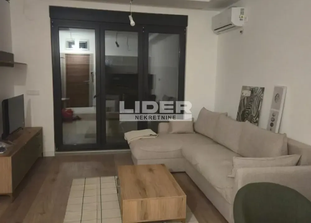 Izdavanje, dvosoban stan, 40m², Južni Bulevar, Vračar Sve Podlokacije