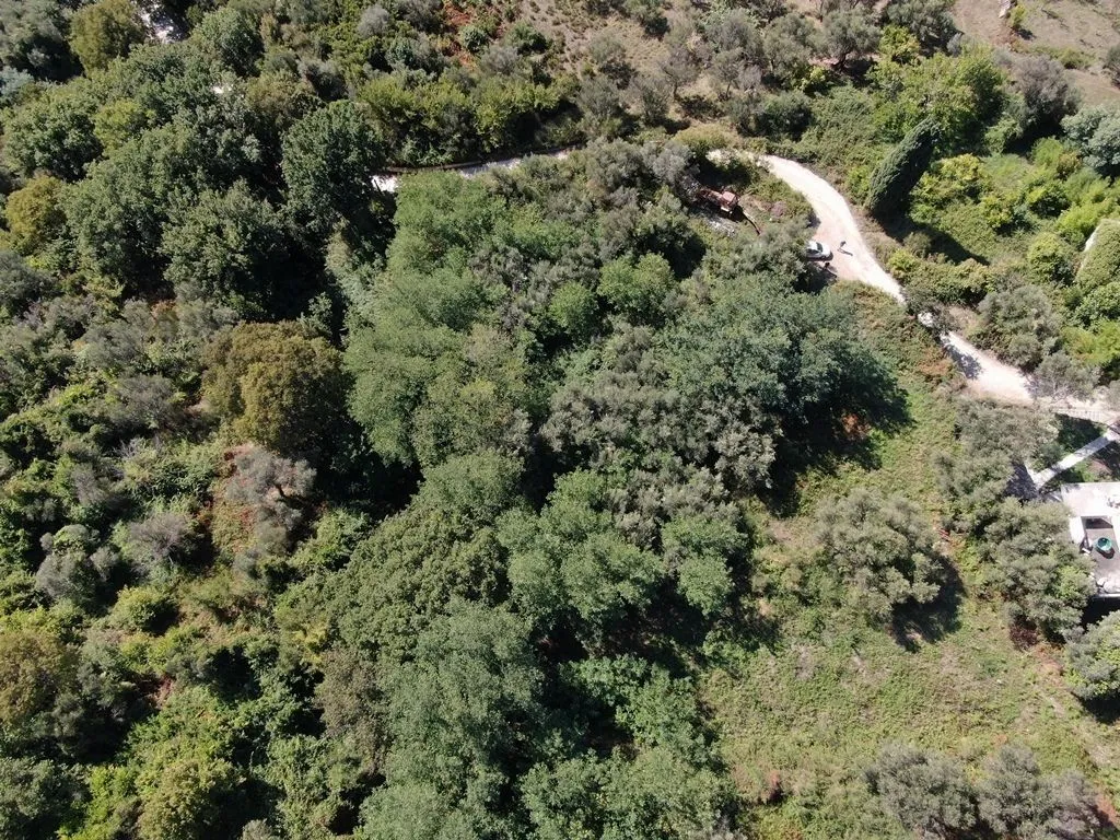 Prodaja, plac, 14000m², Kumbor, Herceg Novi