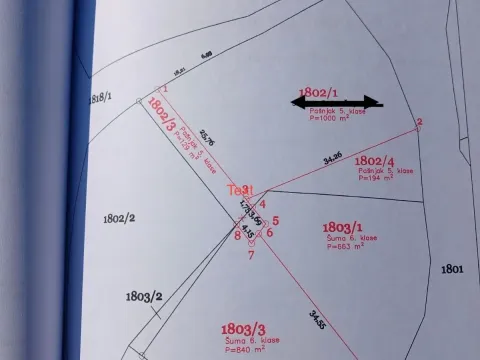 Prodaja, plac, 4000m², Danilovgrad, Crna Gora